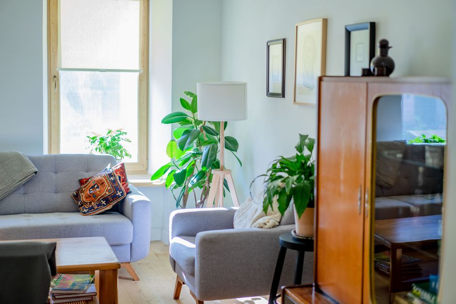 Stylish living room with soft sofas, indoor plants, and ample natural light.